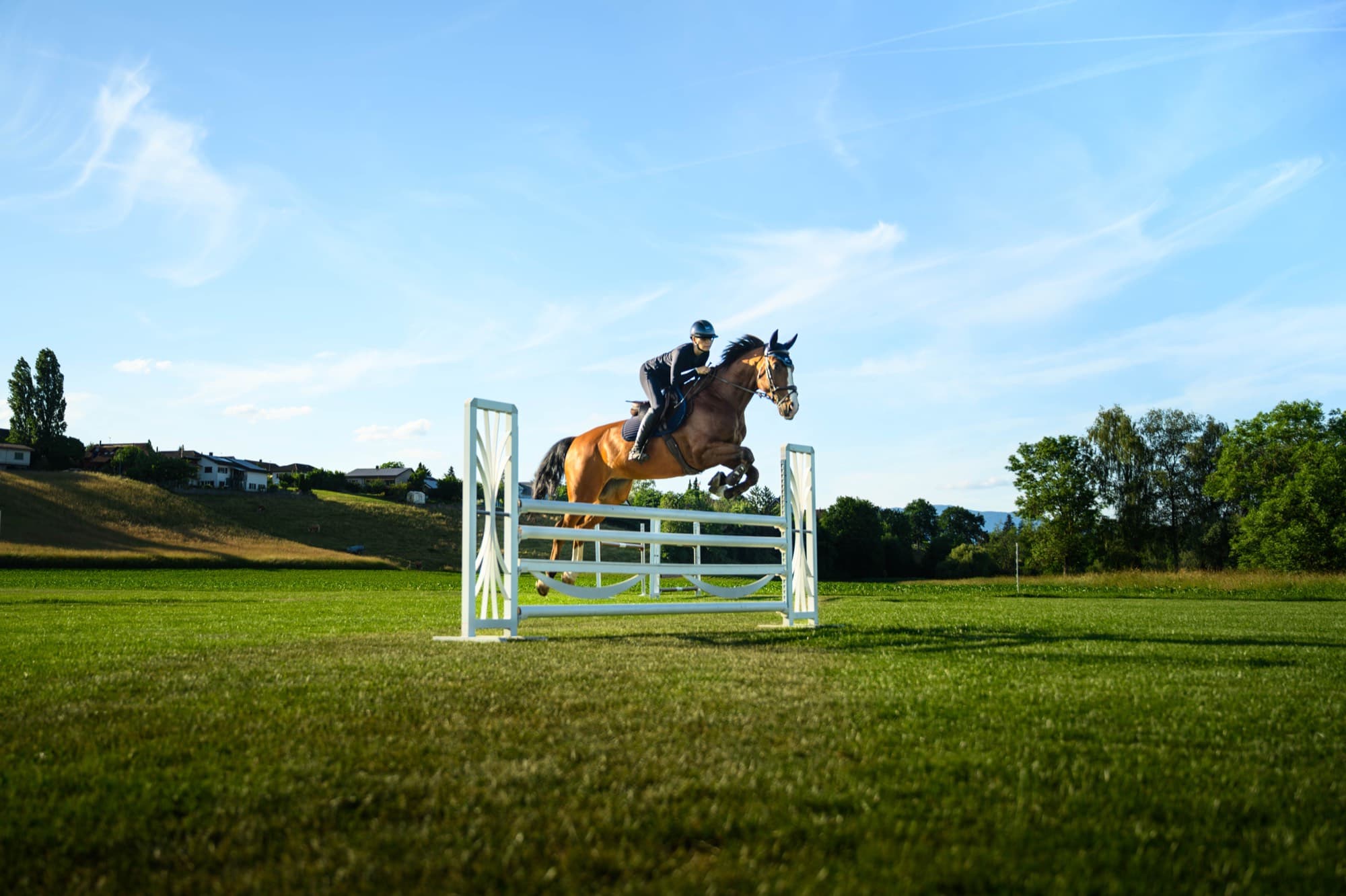 Springpferd von Equity Jump beim Sprung über einen Steilsprung