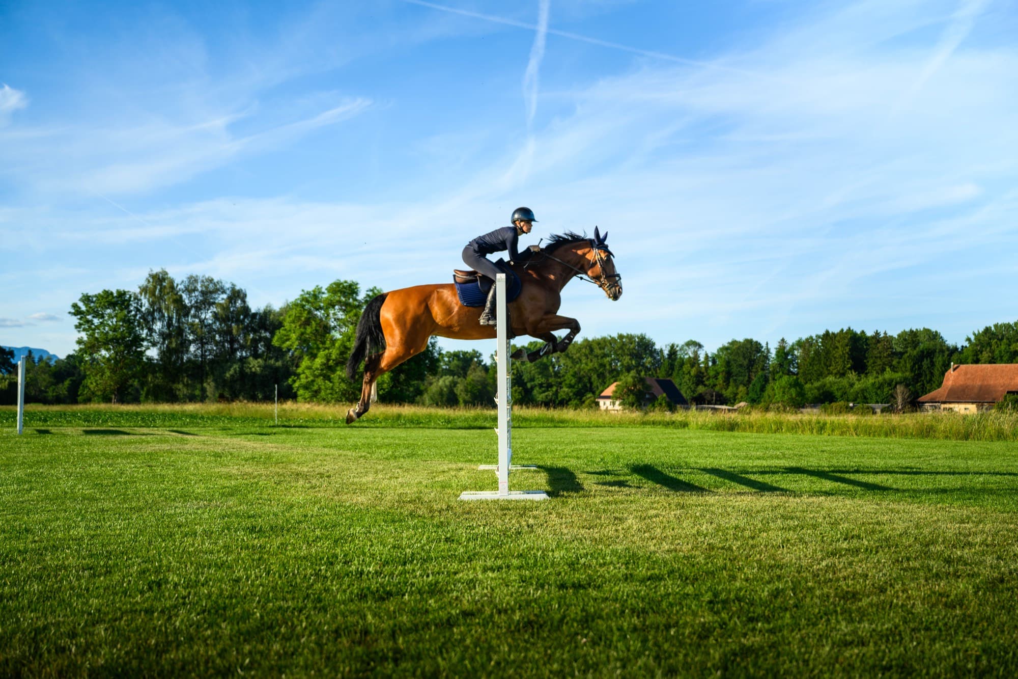 Springpferd beim Sprung über einen Steilsprung