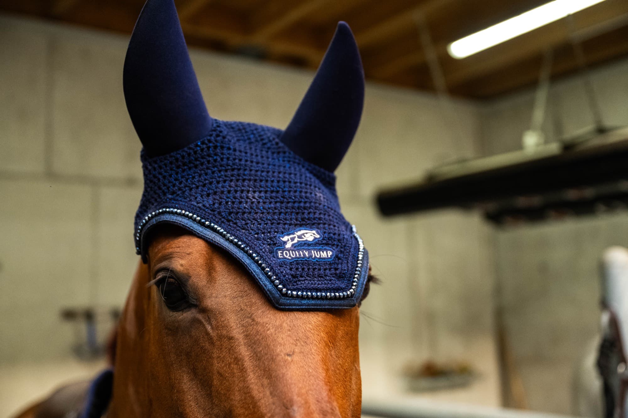 Pferd mit Equity-Jump-Fliegenhaube im Portrait