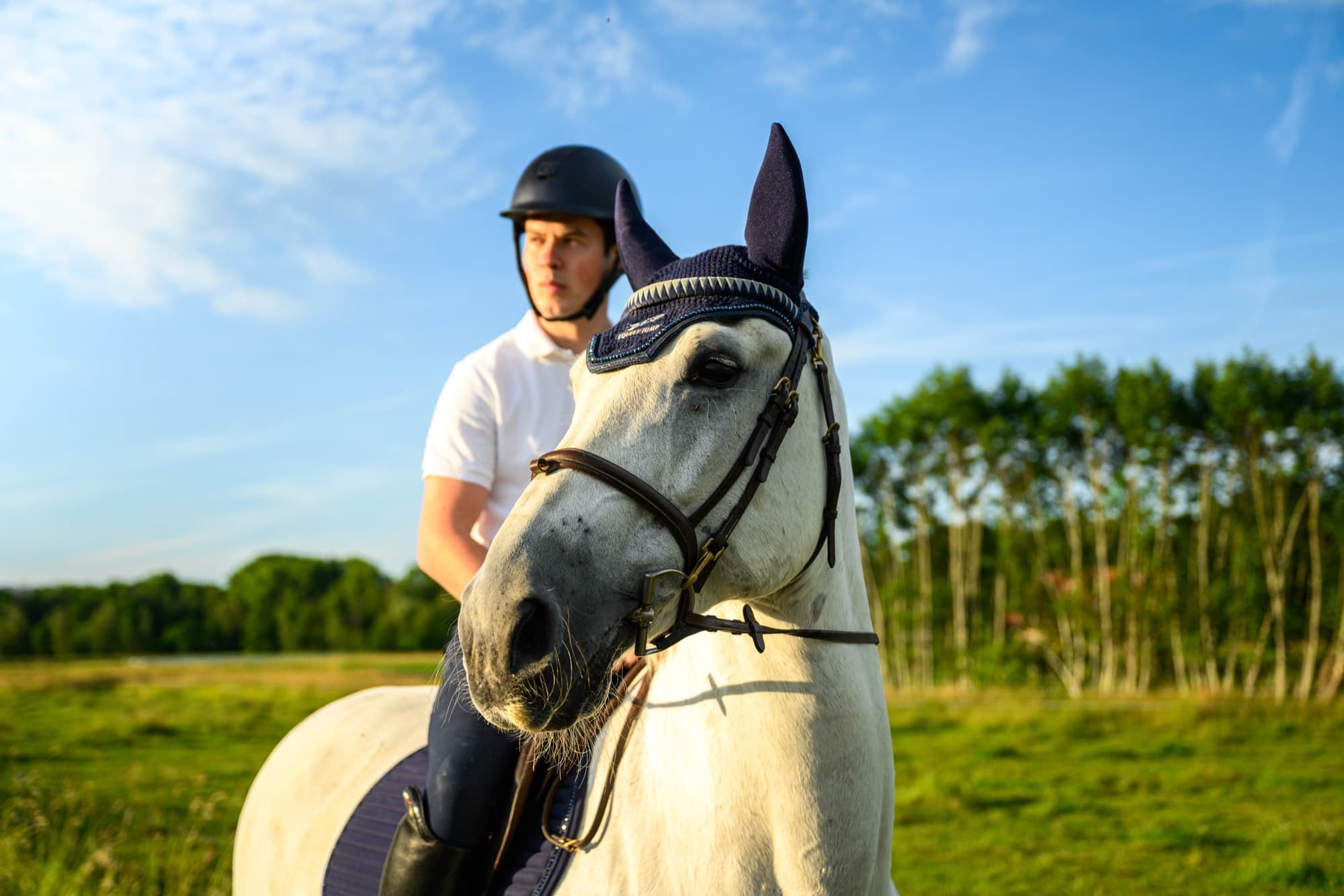 Reiter auf einem Schimmel mit Equity-Jump-Fliegenhaube